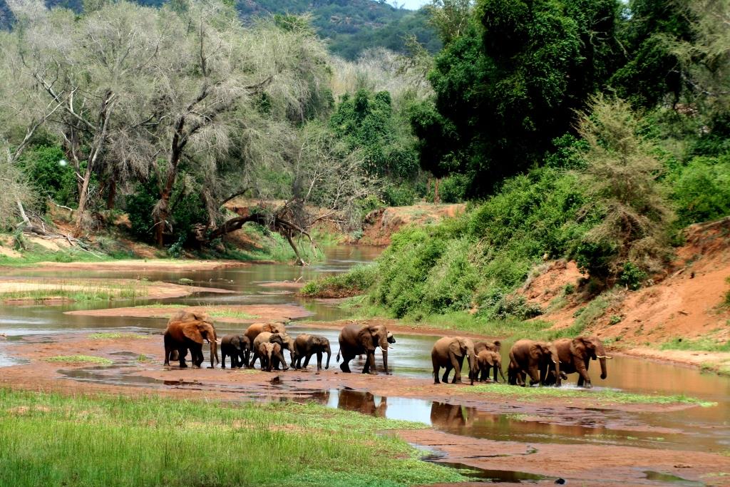 Viaggio Eswatini con Cospe