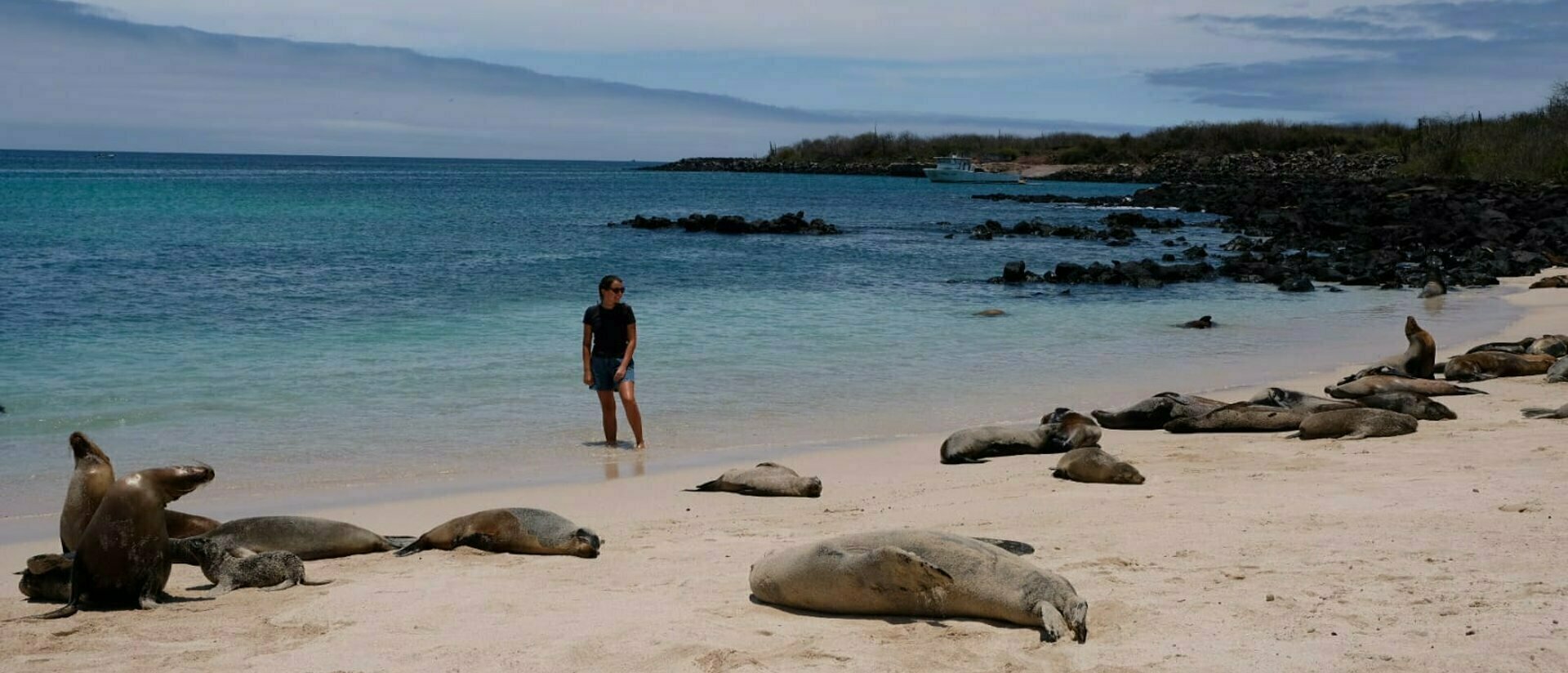 Viaggio Ecuador e Galapagos