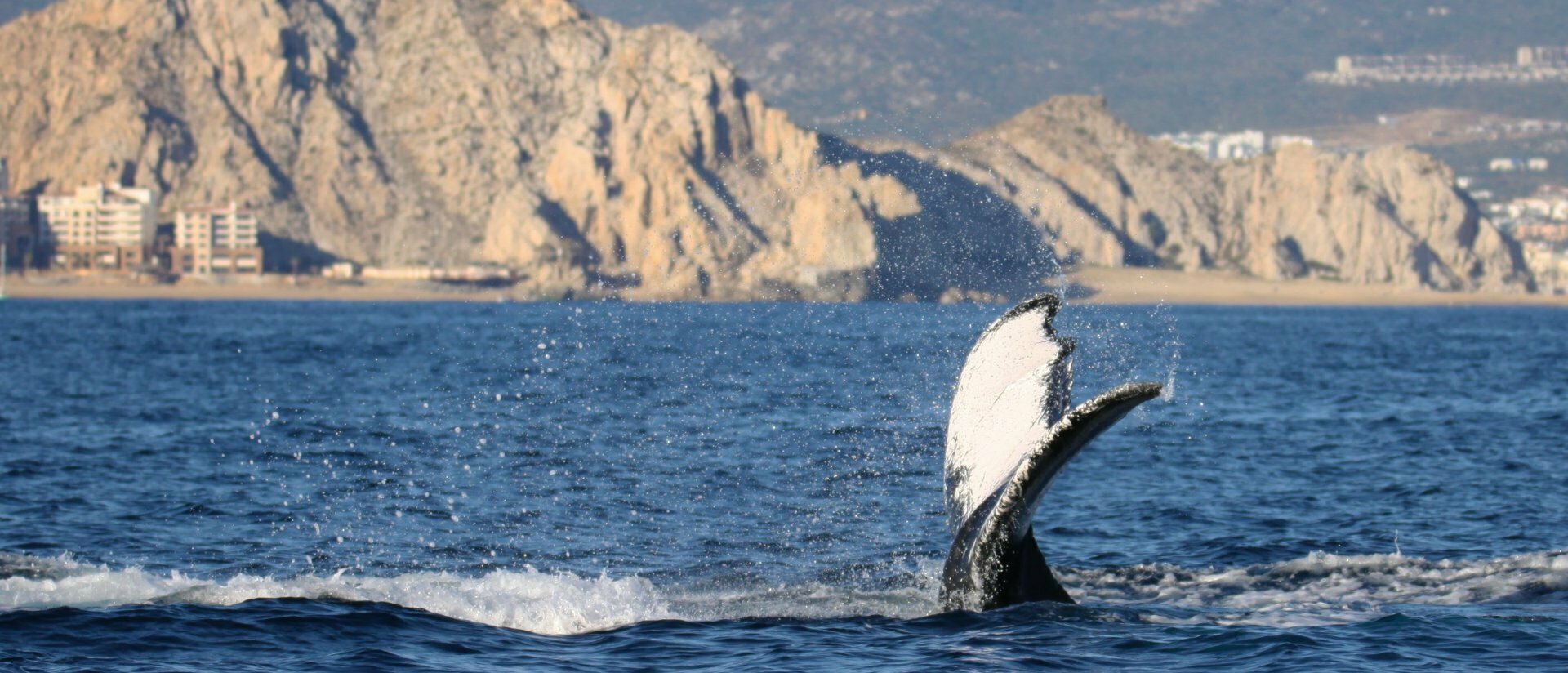 Messico Baja California